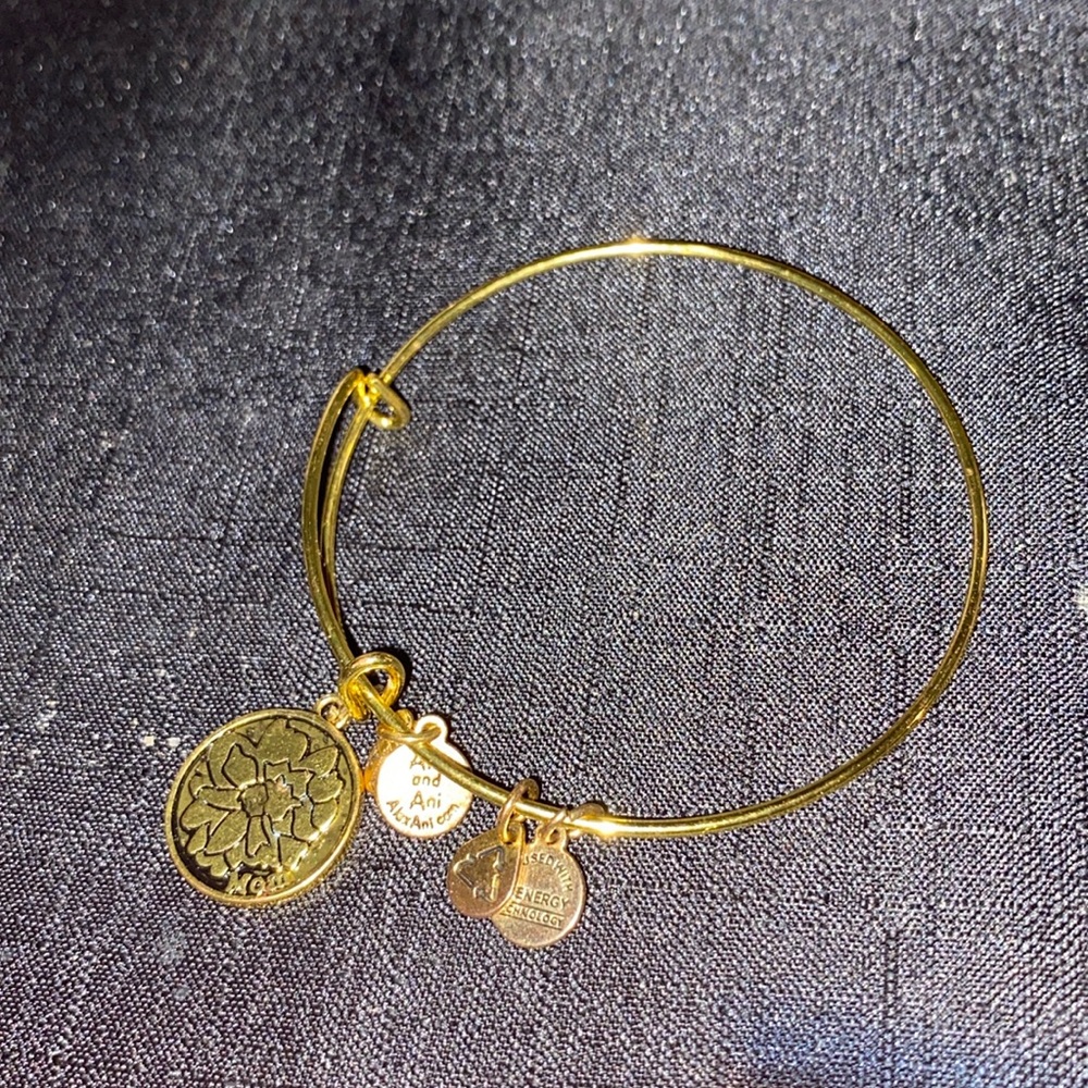 Alex n Ani gold style bracelet